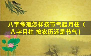 八字命理怎样按节气起月柱（八字月柱 按农历还是节气）